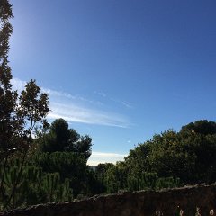 IMG 097